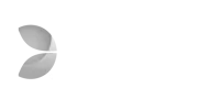 evolution-casino